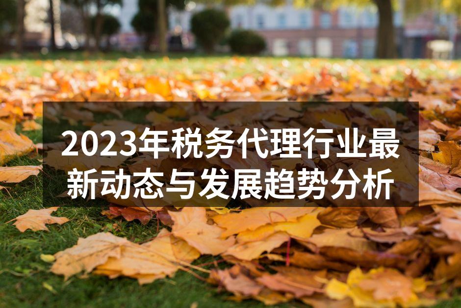 2023年税务代理行业最新动态与发展趋势分析